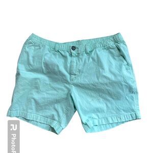 Chubbies Men's Blue and Green Shorts